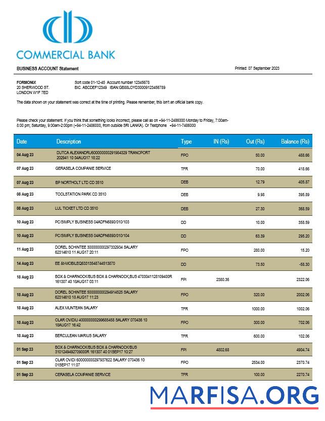 Blank Commercial Bank firm statement Word and PDF template